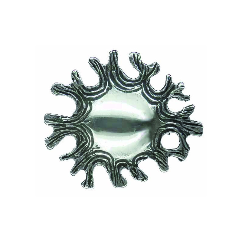 Broche Soleil De Mer