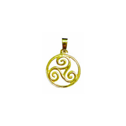 Pendentif Triskel Cerclé