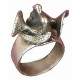 Pigeons ring