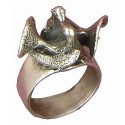 Pigeons ring