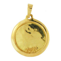 Pendentif Médaille Triskel Moyenne
