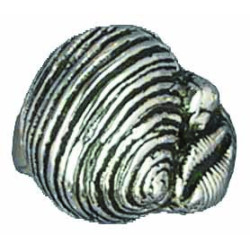 Bague 3 Coquillages (Ouverte)