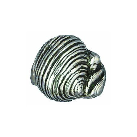 Three Shells Ring (Open)