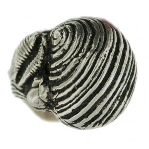 3-shell ring 12g