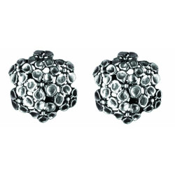 Flower Seedling Buds